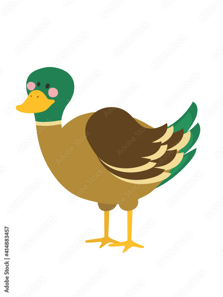 duck duck