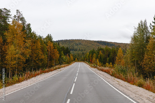 beautiful asphalt road surrounded by forest