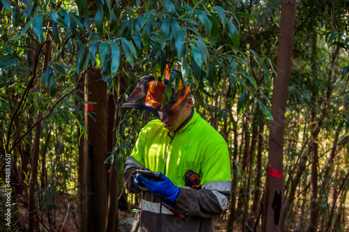 forest worker using smartphone in the forest