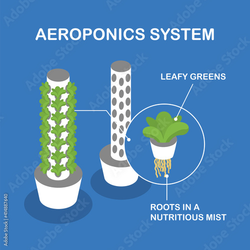 Vertical aeroponic system for growing plants without soil. Vegetables and grasses growing in the water flow system. Plant type with and without plants. Isometric infographics.