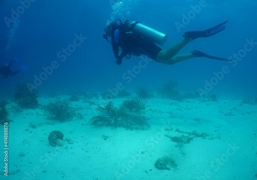                             scuba diver , caribbean sea , Aruba Island  © gustavo