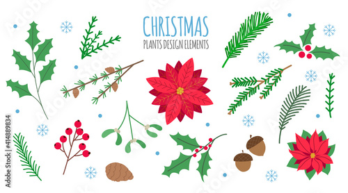 Christmas floral design elements set. Christmas design constructor. Poinsettia, mistletoe, fir, pine branches, holly berries, rowan berries, acorns. Vector illustrations.