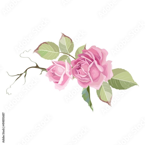ink rose, peony and jasmine