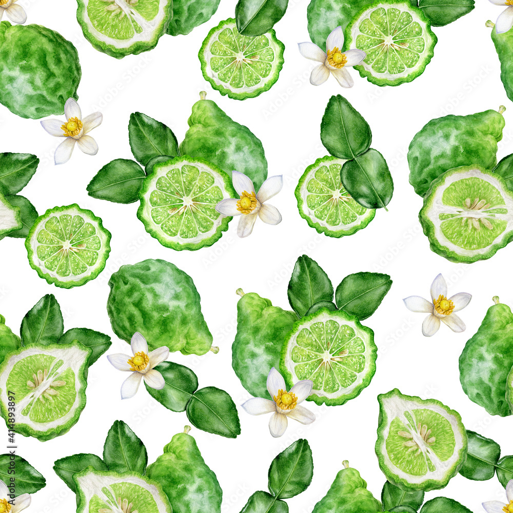 Bergamot fruit hand drawn watercolor illustration. Seamless pattern. Bergamot fruit hand drawn watercolor illustration. Seamless pattern.