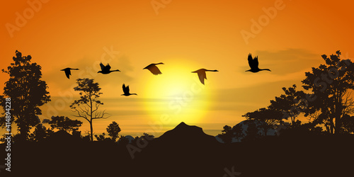 ducks flying go home © enterphoto