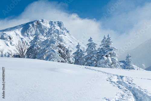 十勝連峰モンスターの住む雪山 © 大西 親文