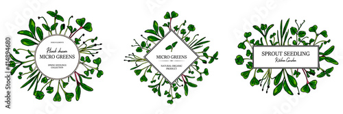 Set of hand drawn micro greens botany frames. Healthy vegetarian and vegan food design for company logo, print, packages. Vector illustration
