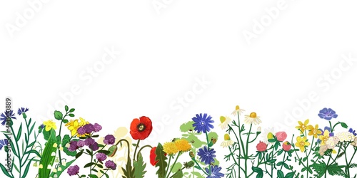 Poster with wildflowers, herbs in botanical style isolated on white. Banner template with floral elements and place for text. Summer bouquet for cards, greetings, invitation. Vector illustration