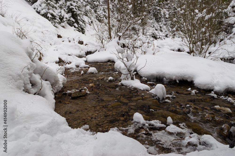 Mountain stream in winter, snow in Homole, Poland
