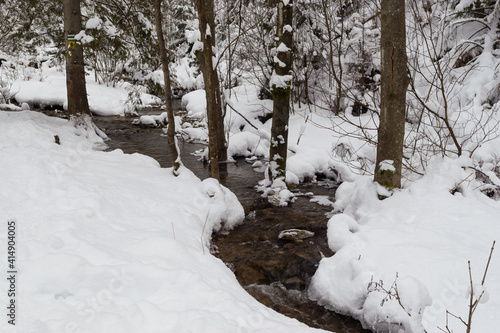 Mountain stream in winter, snow in Homole, Poland