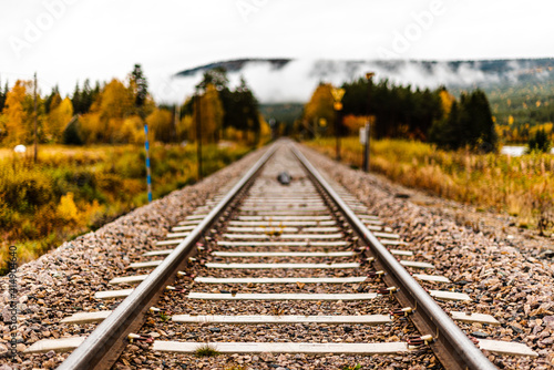 Railroad tracks or railway leads straight into nowhere - low angle shot - autumn forest and fog in the background - concept of determination, transport, the future and hope - soft focus