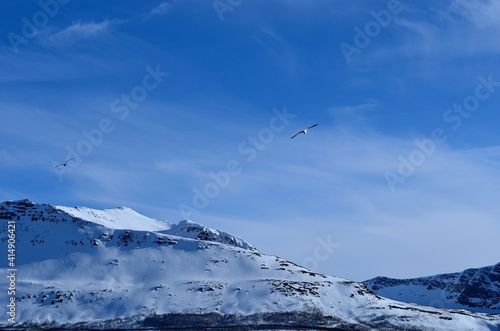 Mighty landscape with snow covered mountain and the ocean in the front in Norway, Hella