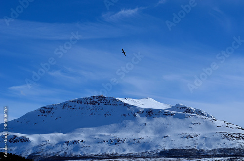 Mighty landscape with snow covered mountain and the ocean in the front in Norway, Hella © Arcticphotoworks