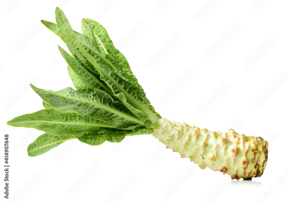 Naklejka premium Asparagus lettuce on white background 
