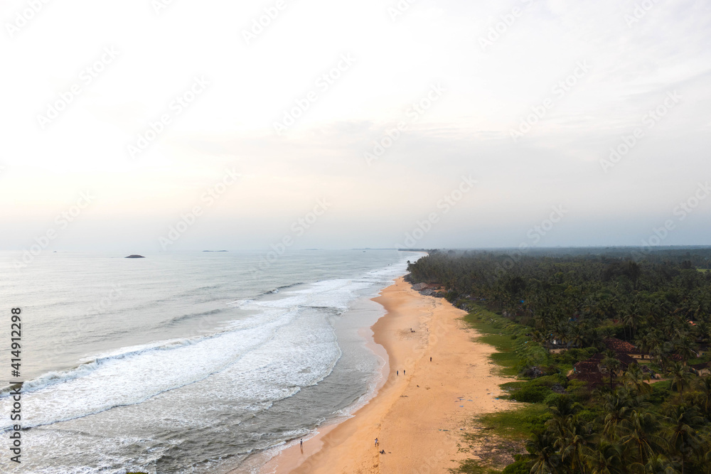 Aerial view of the tree-covered beach and the calm sea captured during the daytime