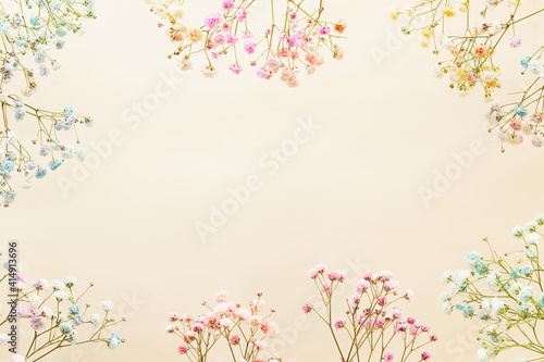 Gypsophila (Baby's-breath flowers) on pastel background.