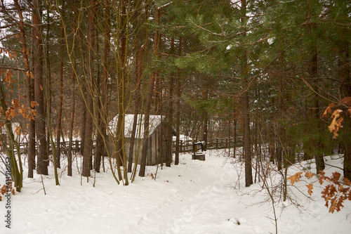 Fototapeta Naklejka Na Ścianę i Meble -  mały domek