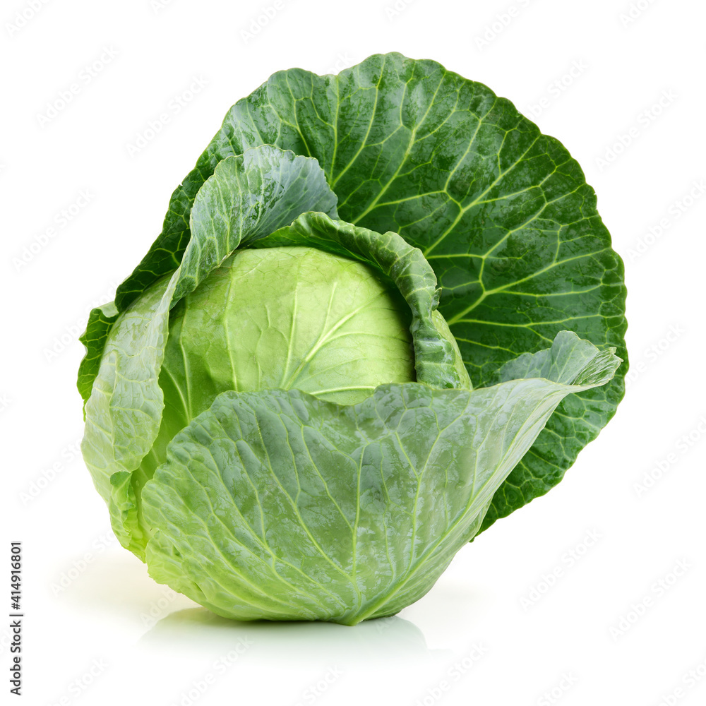 Fototapeta premium cabbage isolated on white background