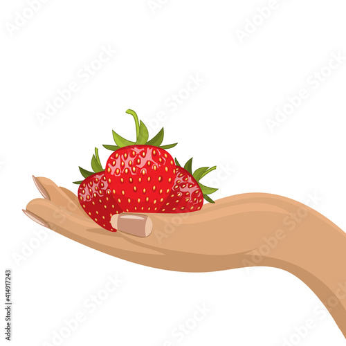 Hands holding red ripe strawberries. Flat and solid color vector illustration.