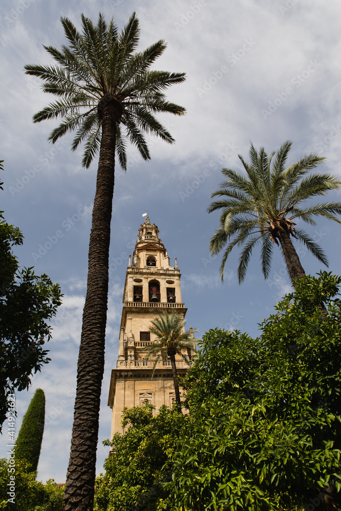 Torre de la mezquita de Córdoba entre palmeras