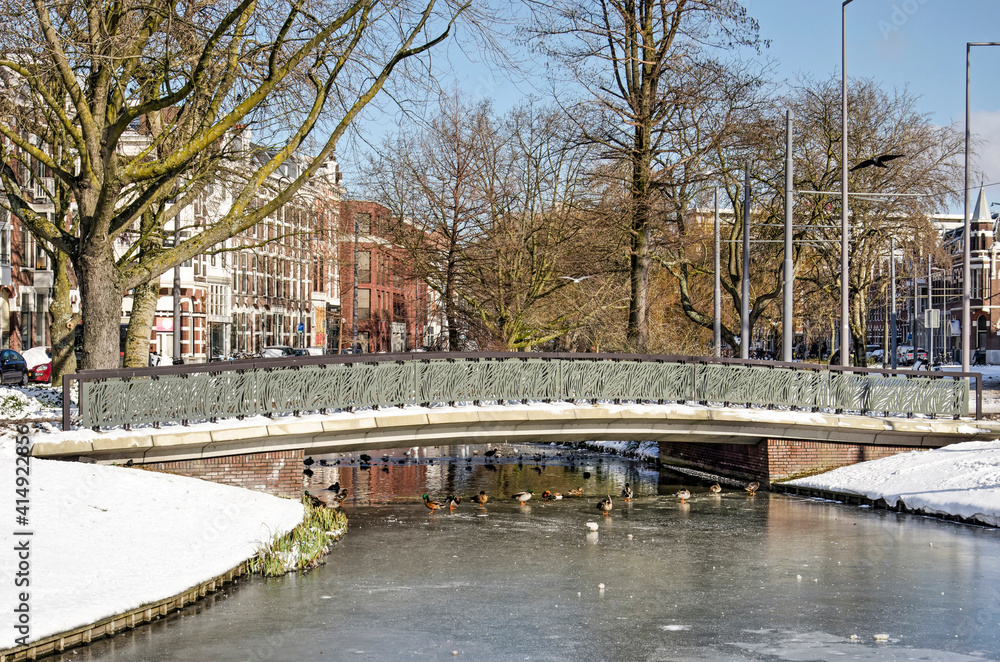 Rotterdam,The Netherlands, February 10, 2021: waterbirds gathering under the bridge across Provenierssingel canal next to the Central Station in winter