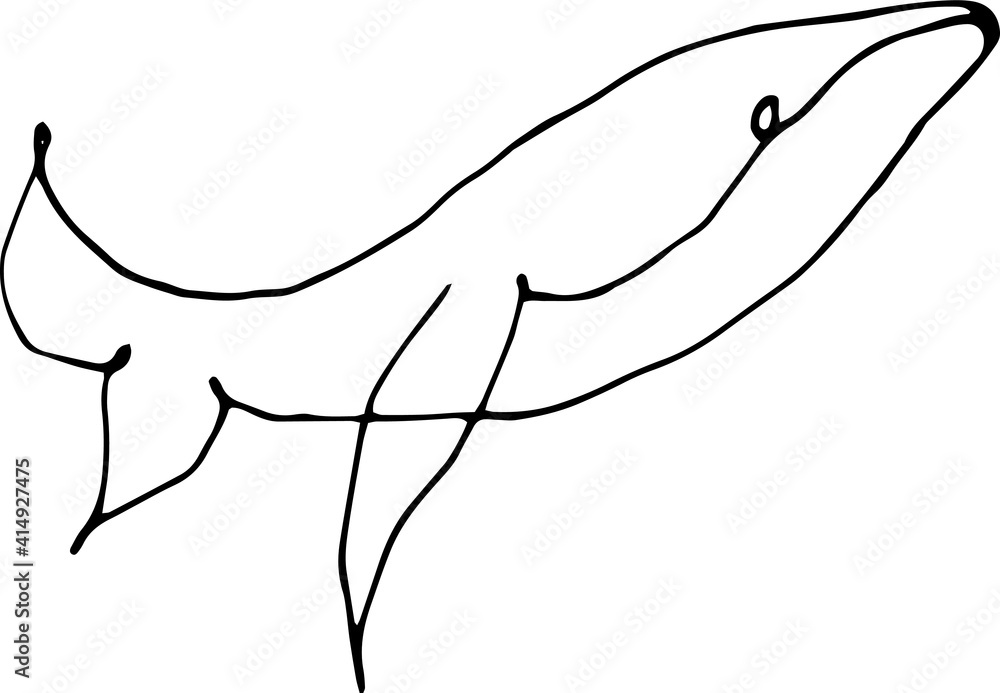 Illustration of a whale, shark, dolphin 