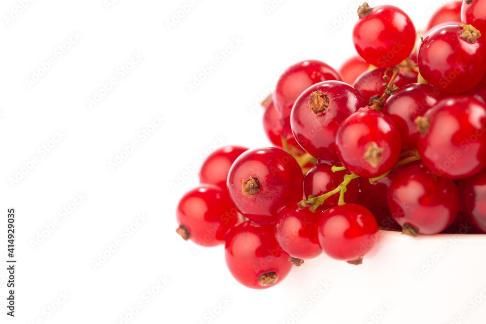 Red currant on white background 