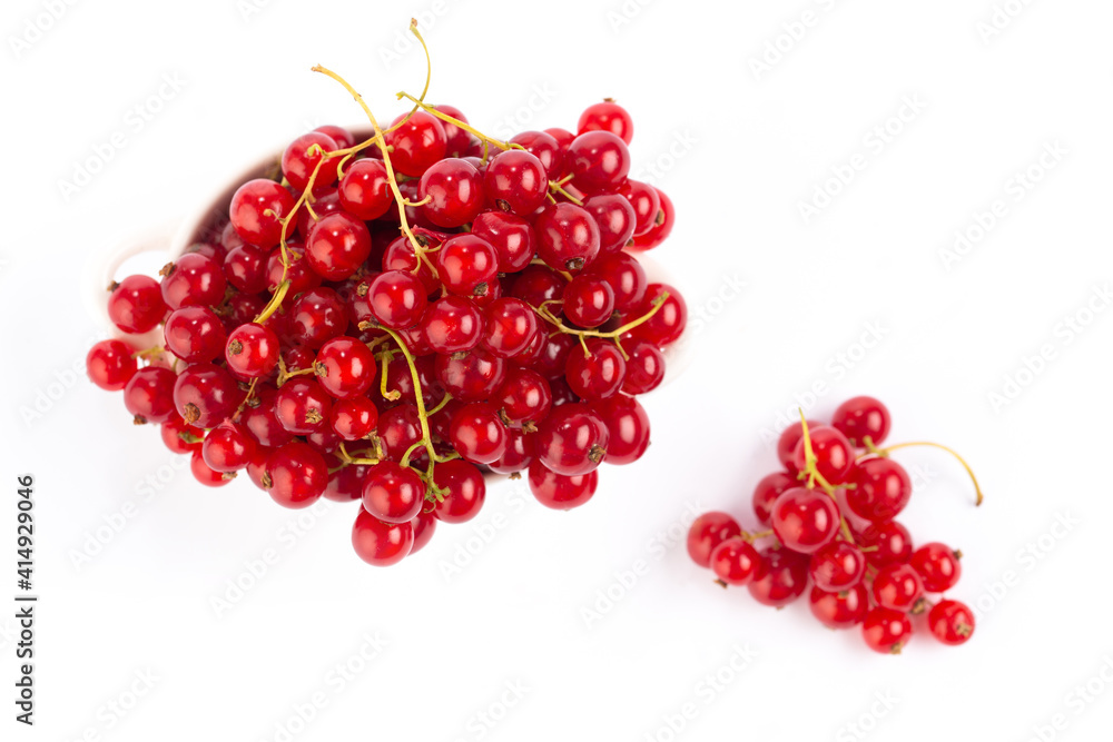 Red currant on white background Red currant on white background