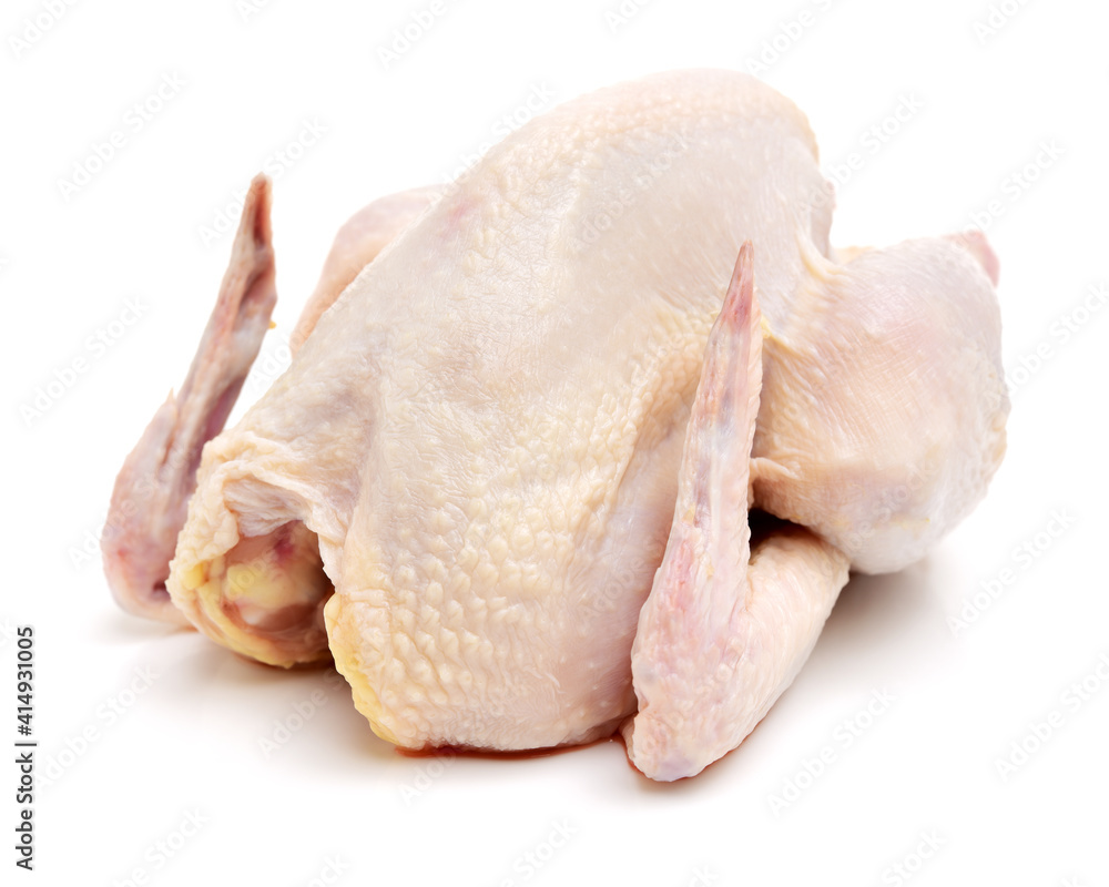 raw hen on a white background raw hen on a white background