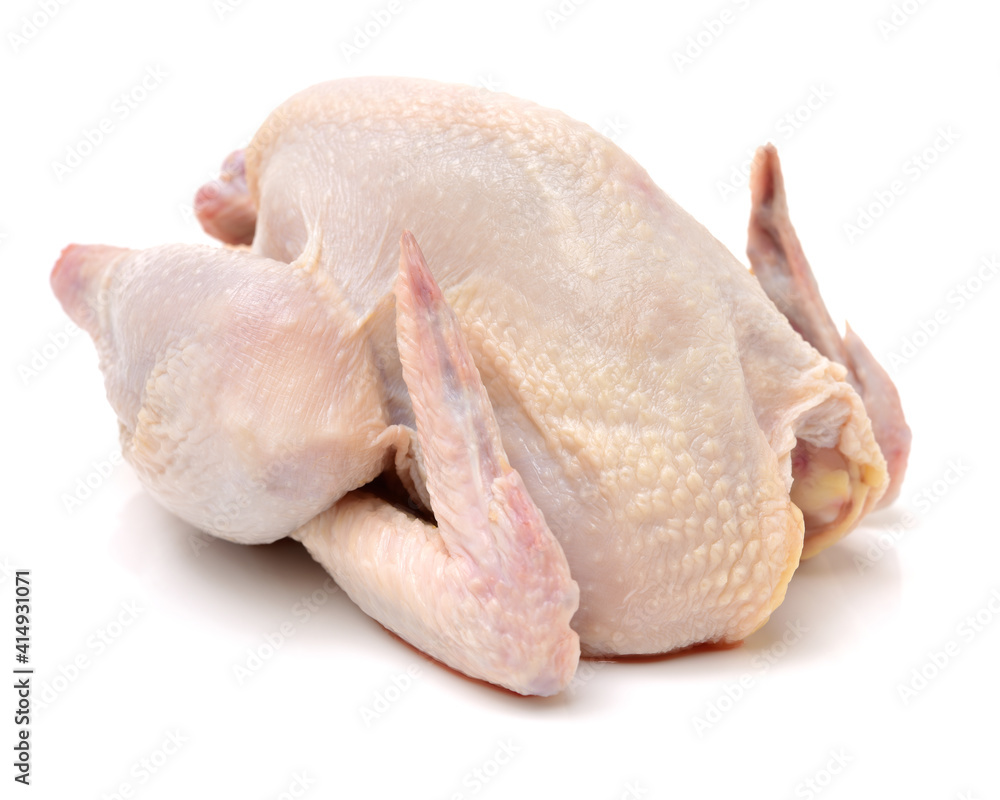 raw hen on a white background raw hen on a white background