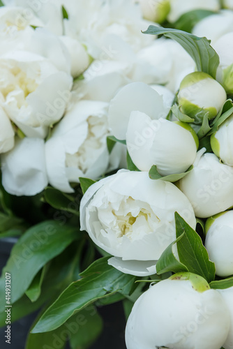Delicate white flowers peonies. Floral background.