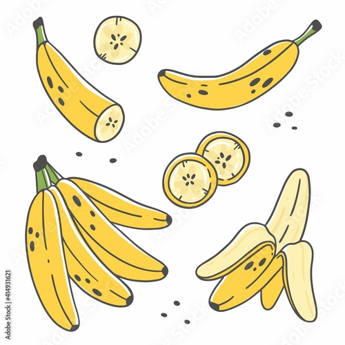 Set of cute bananas in cartoon doodle style isolated on white background. Vector color illustration. Whole, peeled, sliced bananas.