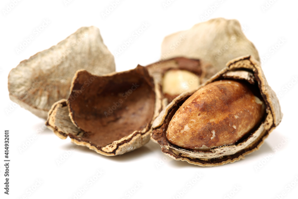 Brazil nuts on white background Brazil nuts on white background