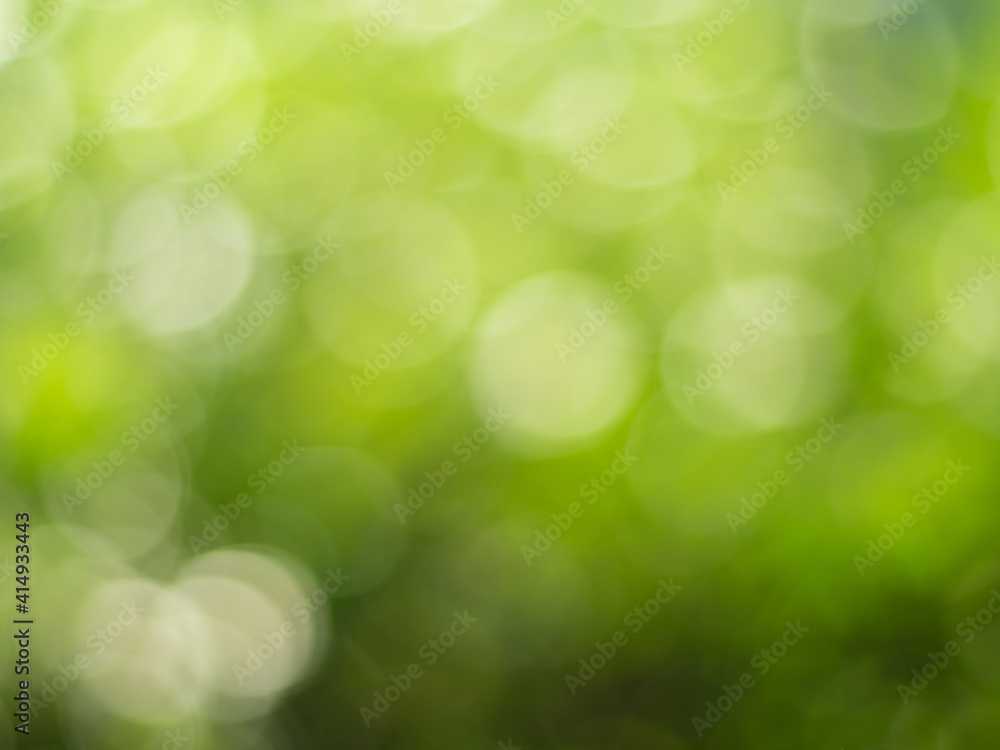 Obraz premium Natural outdoors bokeh background in gold sunlight with green and yellow tones, Blurred light and leaf background with bokeh