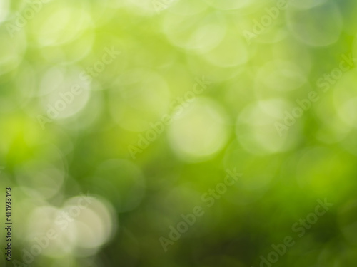 Natural outdoors bokeh background in gold sunlight with green and yellow tones, Blurred light and leaf background with bokeh