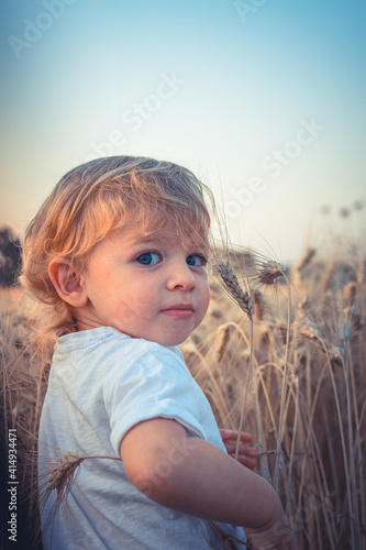 Little beautiful child looks on the camera in a wheat field