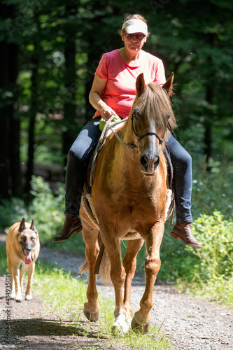 Schönes Pferd mit Hund und Reiterin