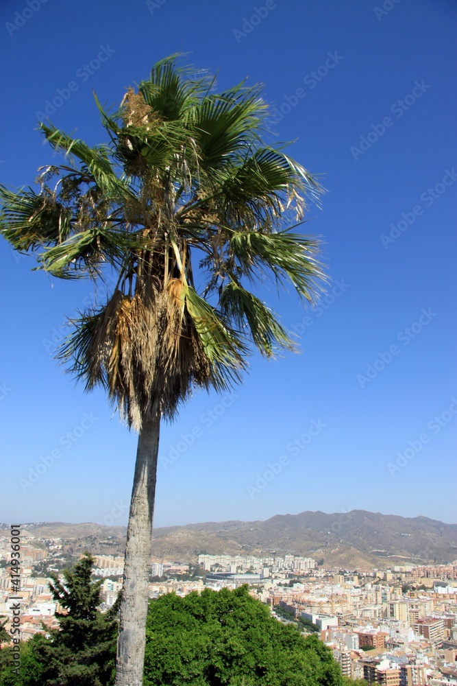 View of modern Malaga from the height of the ancient fortress of Alcazaba