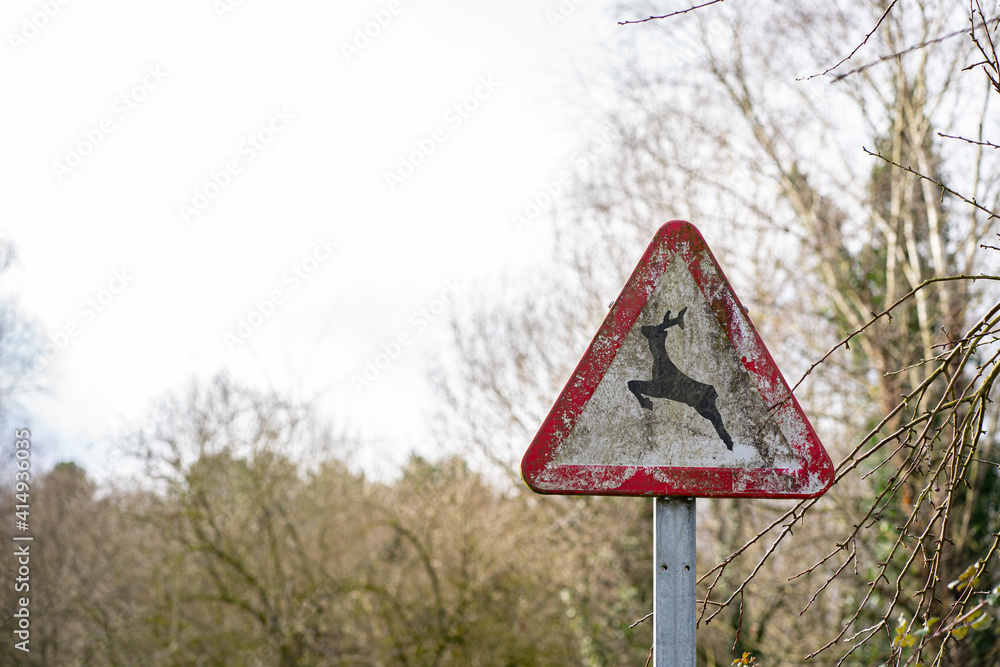 Danger sign passage of animals in freedom, deteriorated by time, surrounded by trees and the sky in the background Danger sign passage of animals in freedom, deteriorated by time, surrounded by trees and the sky in the background