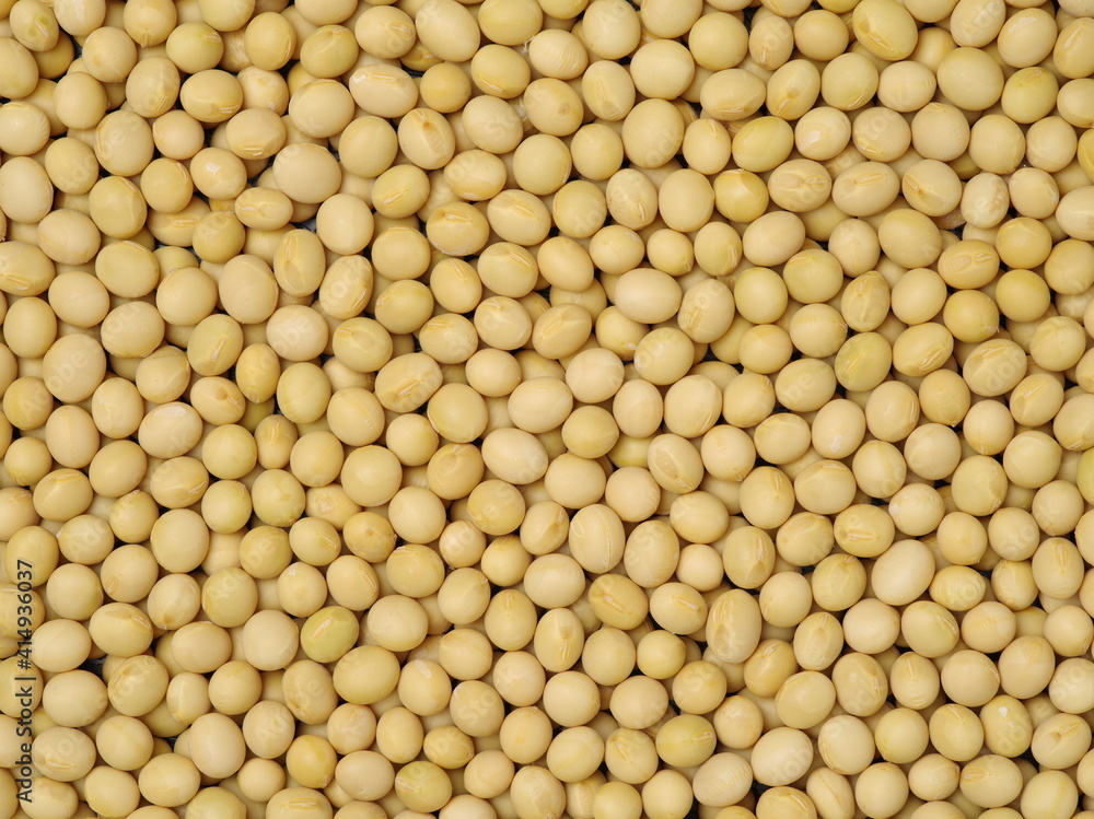 Soybean background Soybean background