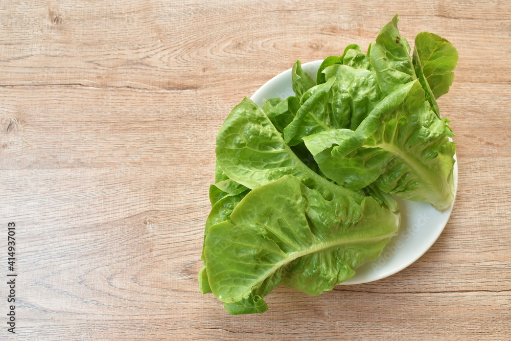 fresh green cos lettuce vegetable salad with drop of water arranging on plate fresh green cos lettuce vegetable salad with drop of water arranging on plate