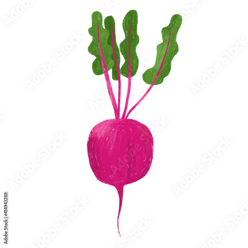 Illustrated beetroot with leaves and bright colors