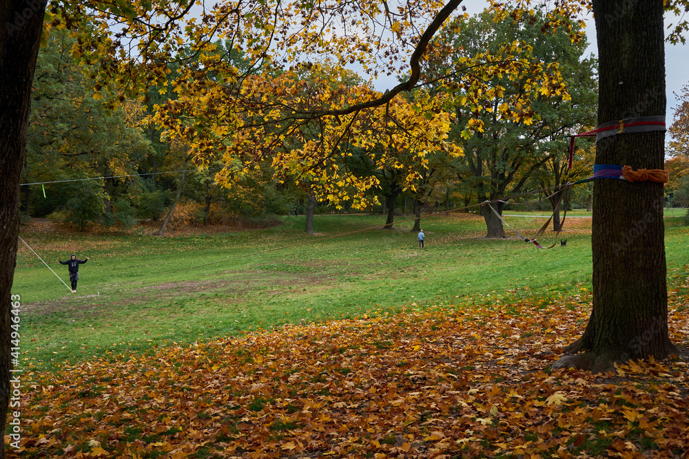 Volkspark Hasenheide, Befestigung einer Slackline an einem Baum, Mann balanciert auf Slackline, Bäume mit Herbstlaub, Neukölln, Berlin, Deutschland Volkspark Hasenheide, Befestigung einer Slackline an einem Baum, Mann balanciert auf Slackline, Bäume mit Herbstlaub, Neukölln, Berlin, Deutschland