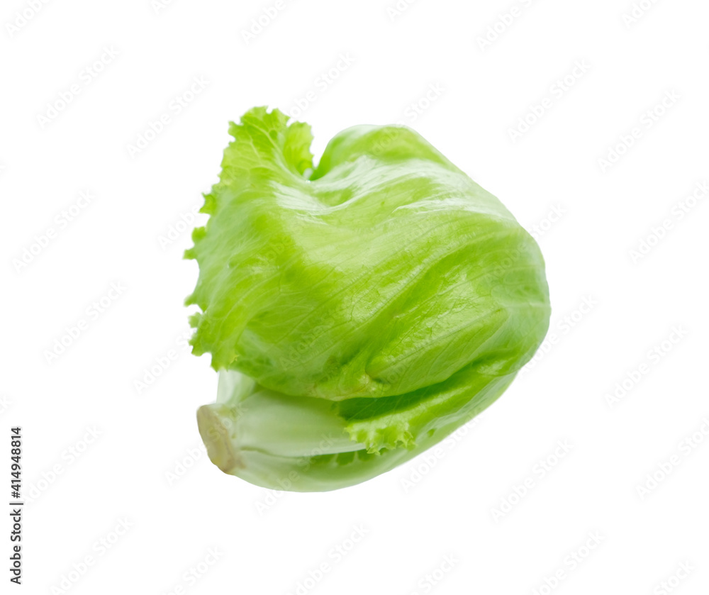 iceberg lettuce on white background iceberg lettuce on white background