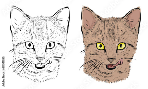 Cute kitten licks its lips, color and black and white image, pet, sketch, coloring book for adults, animal head. Stock vector illustration isolated on white background. Tattoo
