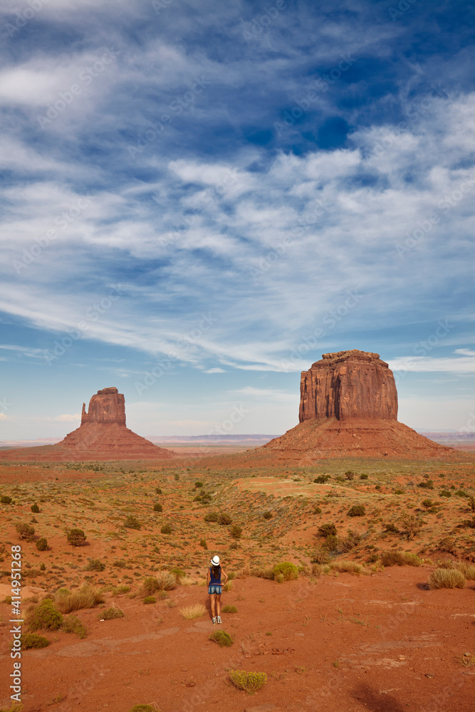 Monument Valley from the Artist's point, Arizona, United States