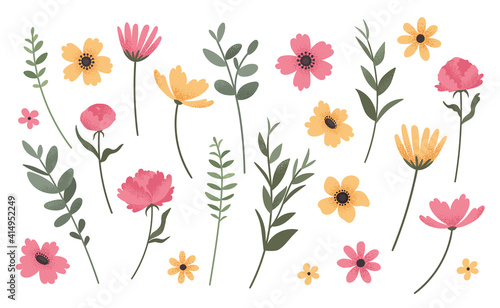 Flower and branch collection. Set of vintage style  flowers, peonies, anemones, daisies, and cornflowers isolated on wihite background. Vector illustration.