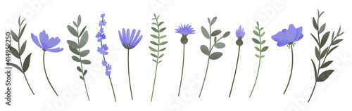 Flower and branch collection. Set of purple flowers, anemones, daisies, lavender and cornflowers isolated on wihite background. Vector illustration.