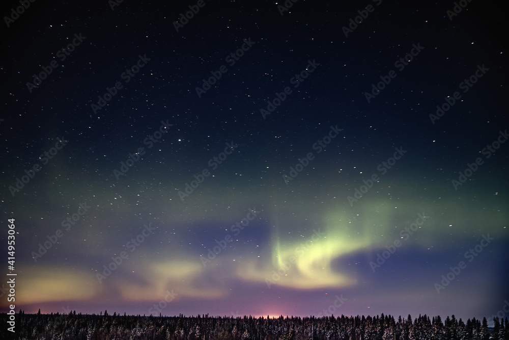 Fototapeta premium Northern Lights in the starry sky above the forest. Night landscape