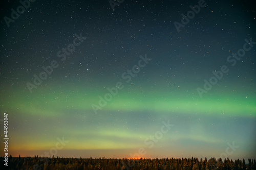 Northern Lights in the starry sky above the forest. Night landscape